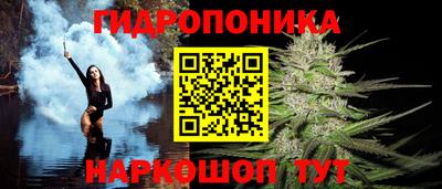 спиды Краснознаменск