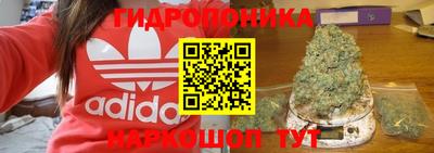спиды Краснознаменск