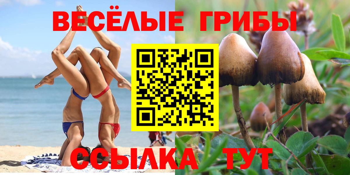 Псилоцибиновые грибы Magic Shrooms  Псилоцибиновые грибы мухоморы  Вход с VPN  Кемерово 